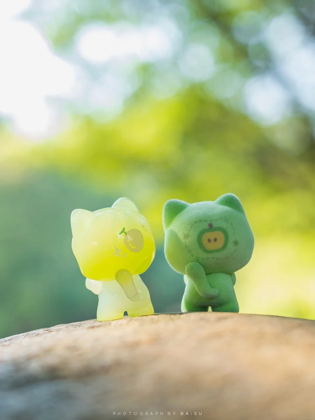 유키 고양이 라인업 사진 2